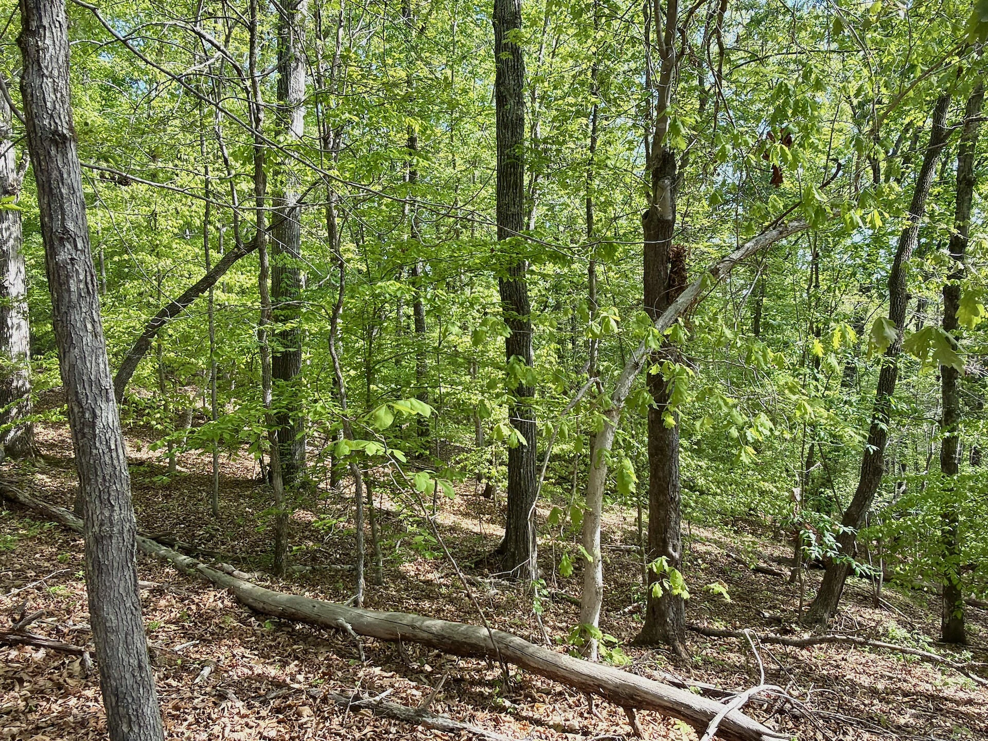 0 River Ridge LN - Photo 34