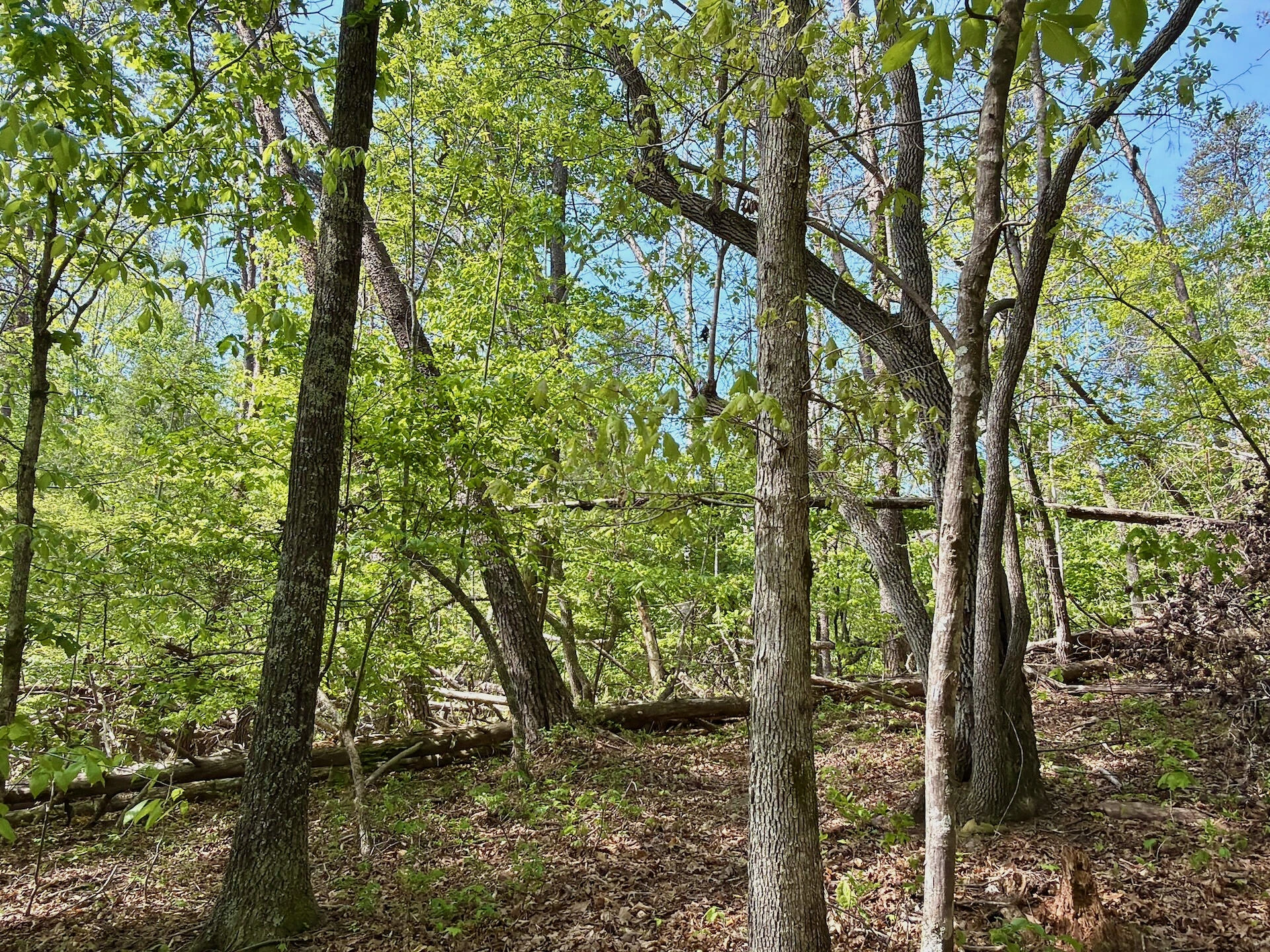 0 River Ridge LN - Photo 36