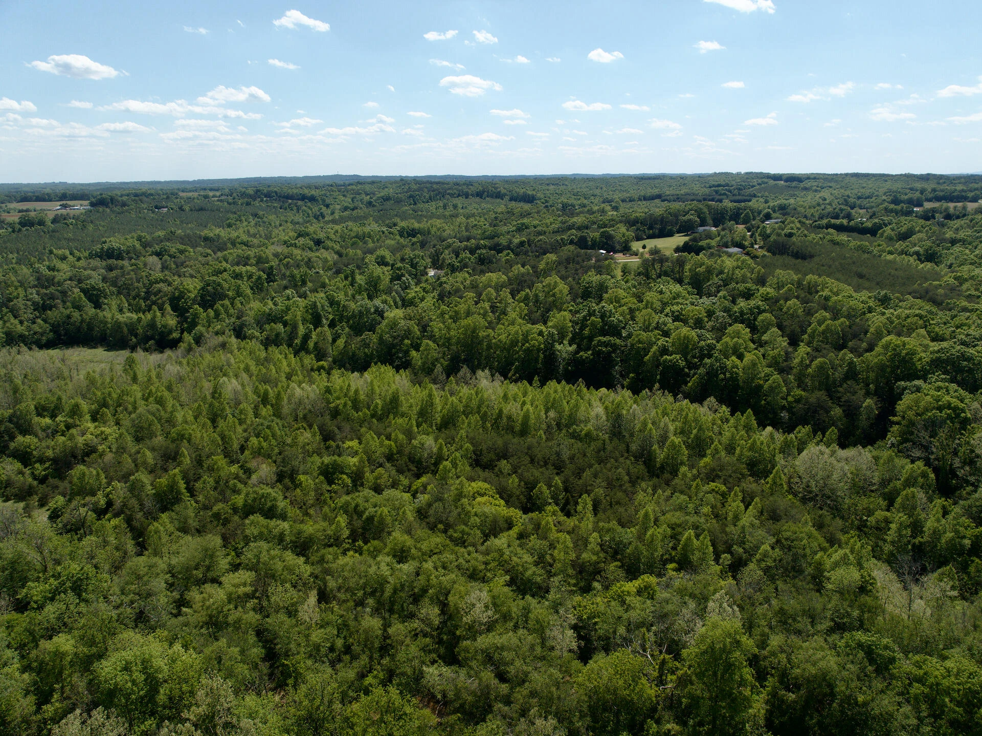 0 River Ridge LN - Photo 40