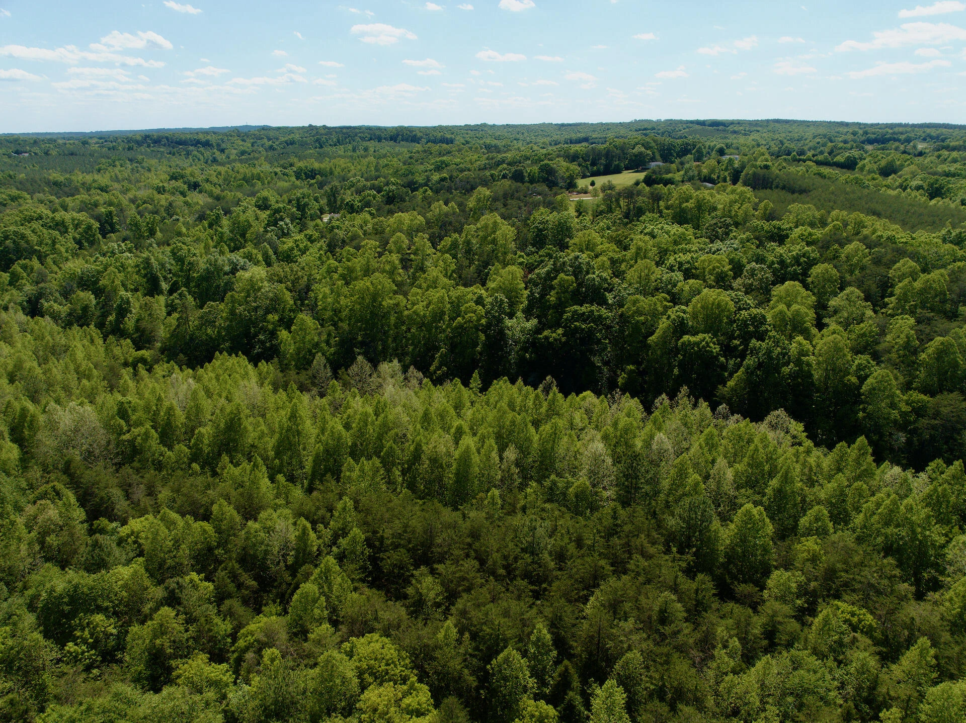 0 River Ridge LN - Photo 42
