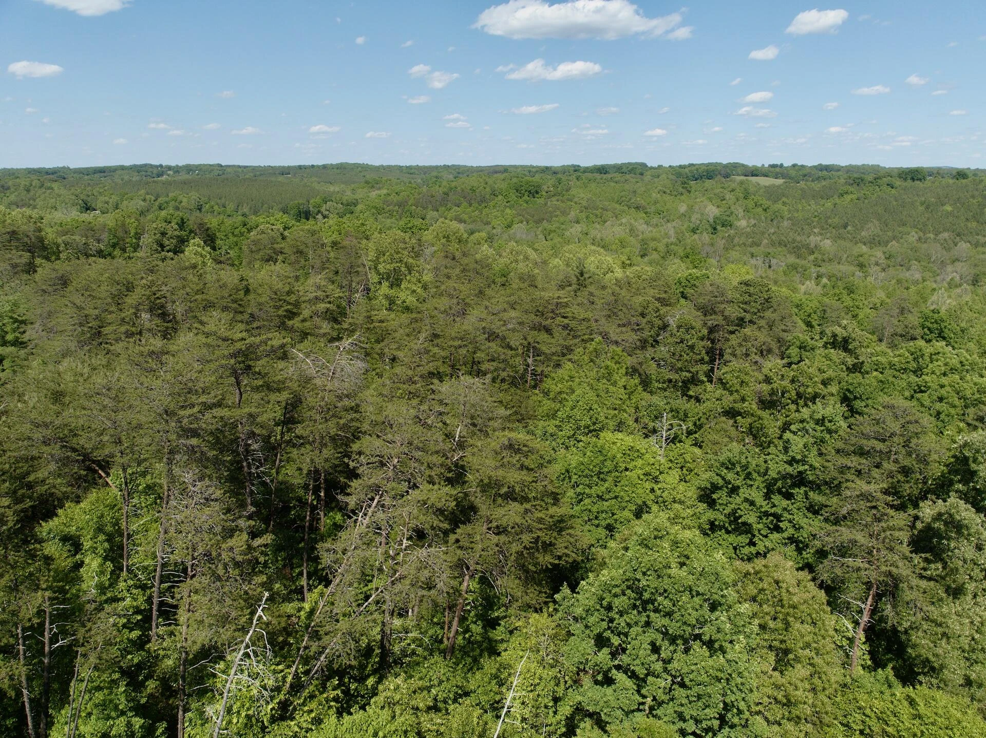 0 River Ridge LN - Photo 45