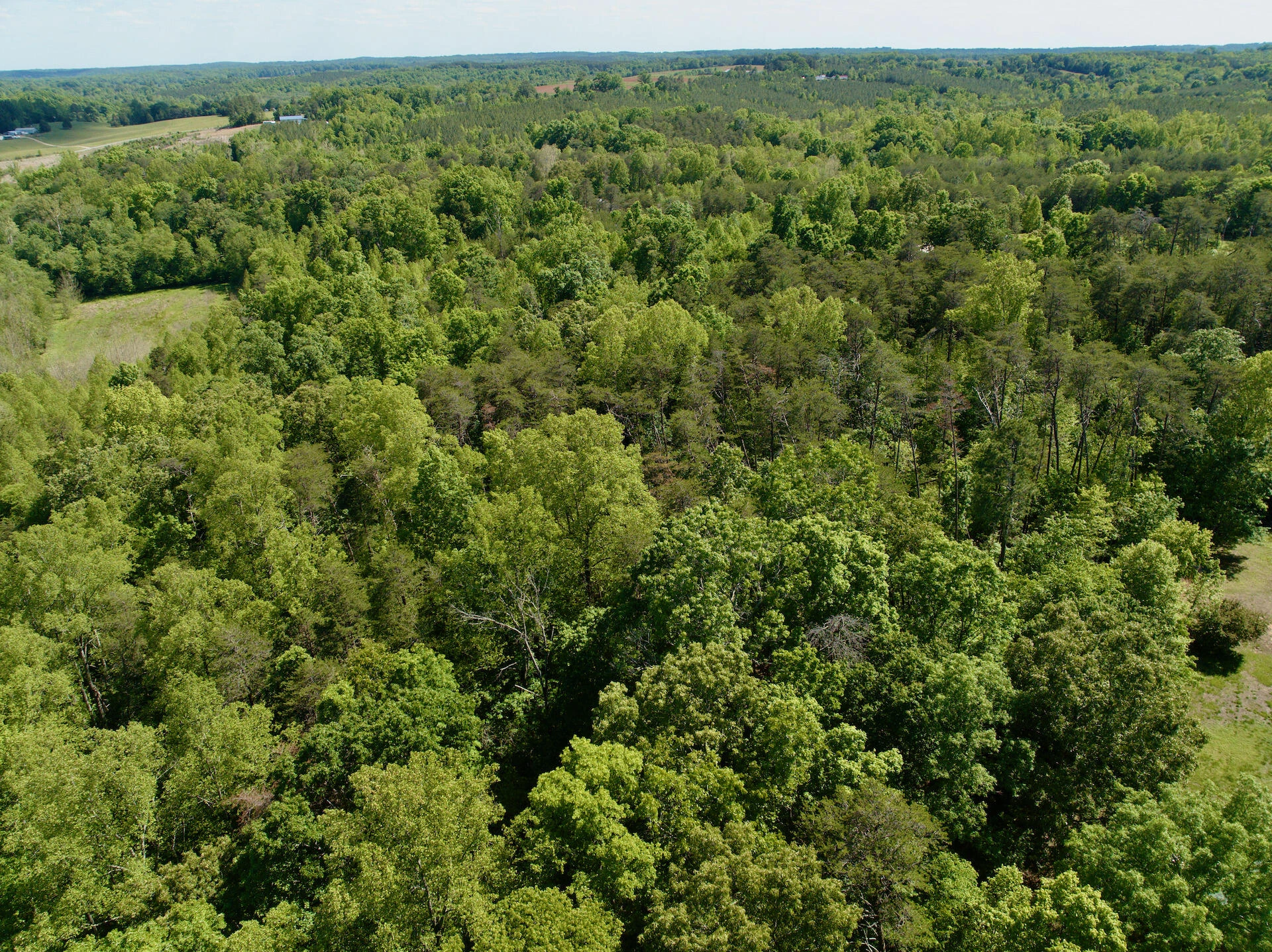 0 River Ridge LN - Photo 47