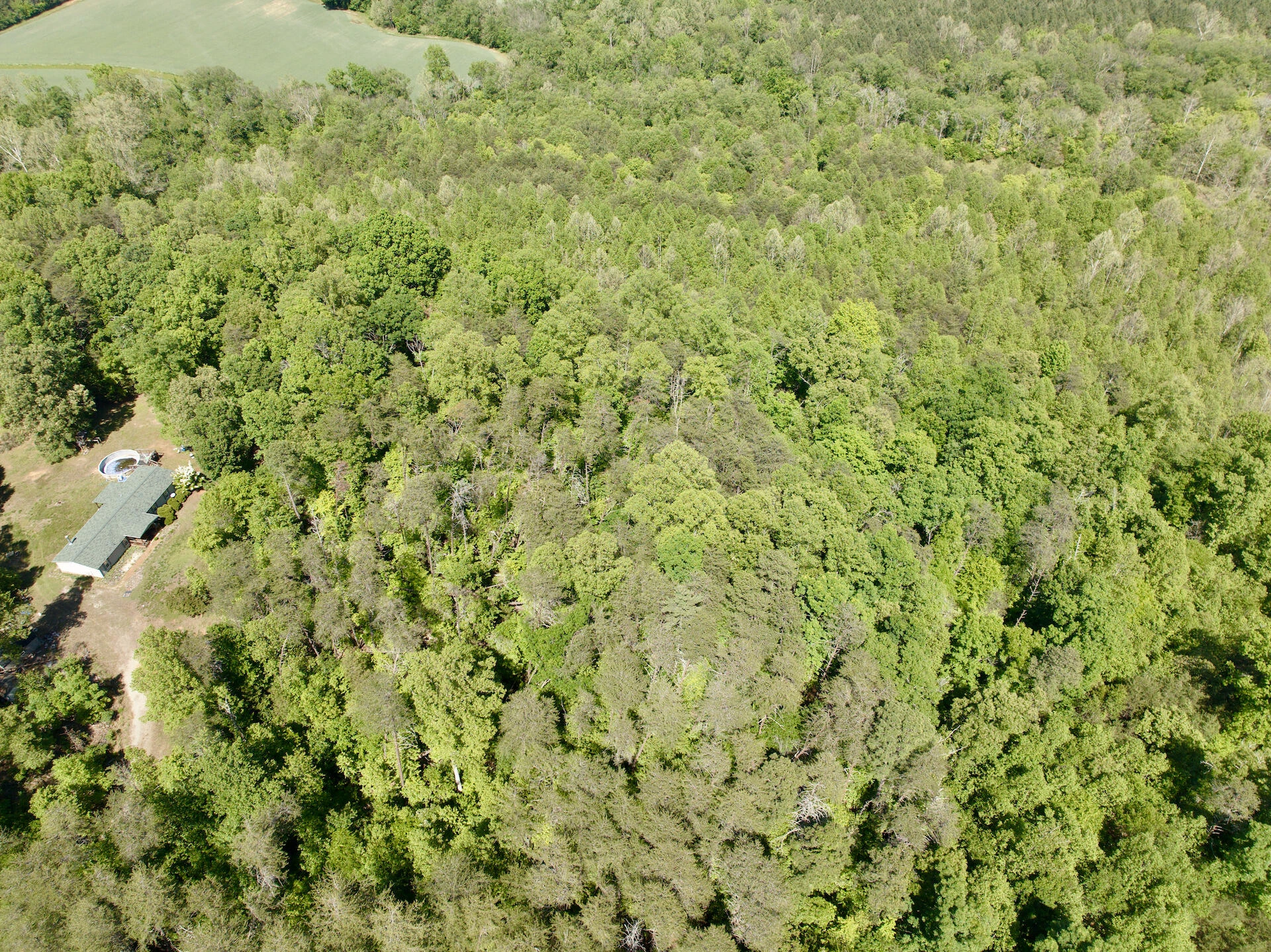 0 River Ridge LN - Photo 6