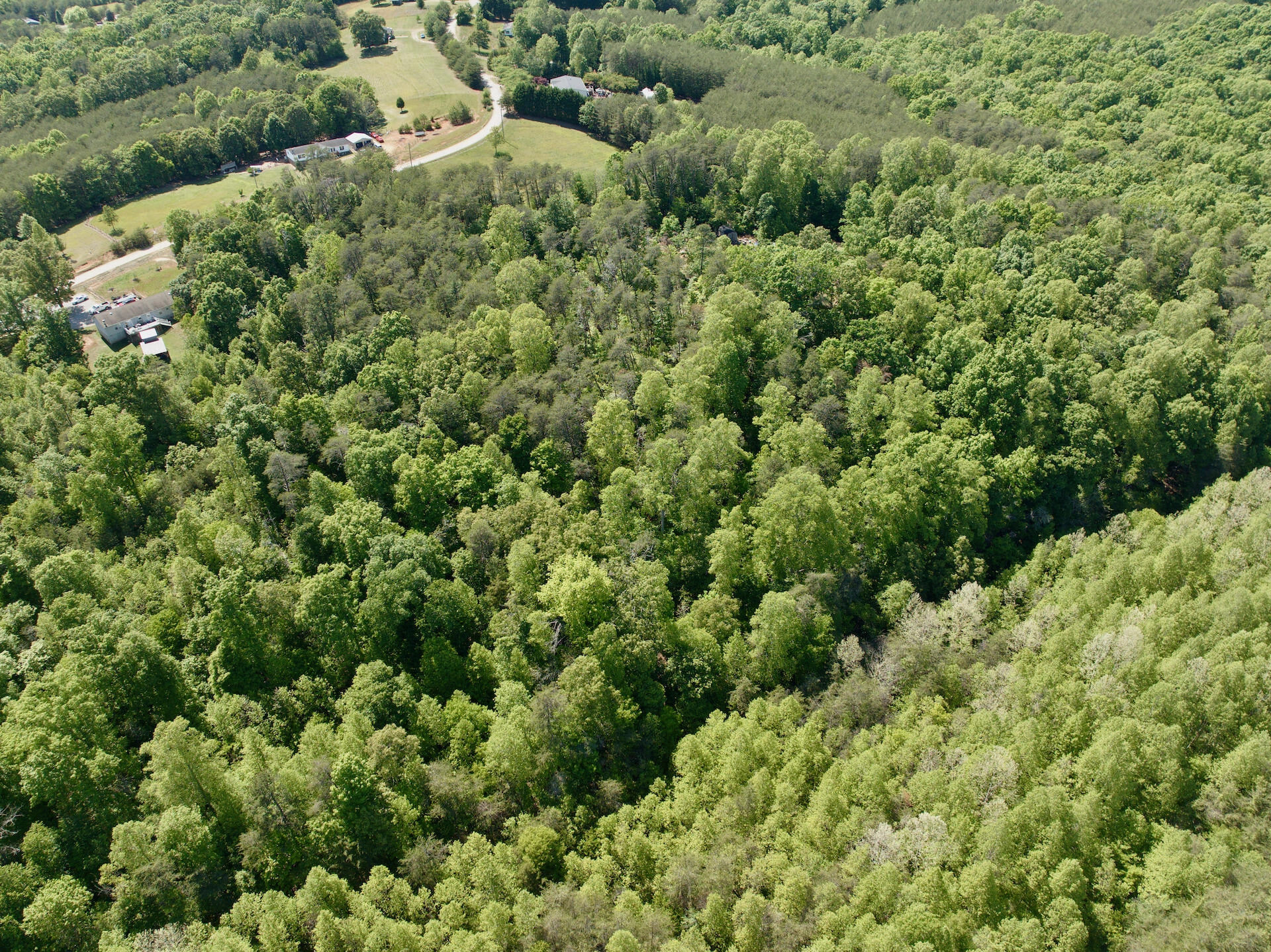 0 River Ridge LN - Photo 8