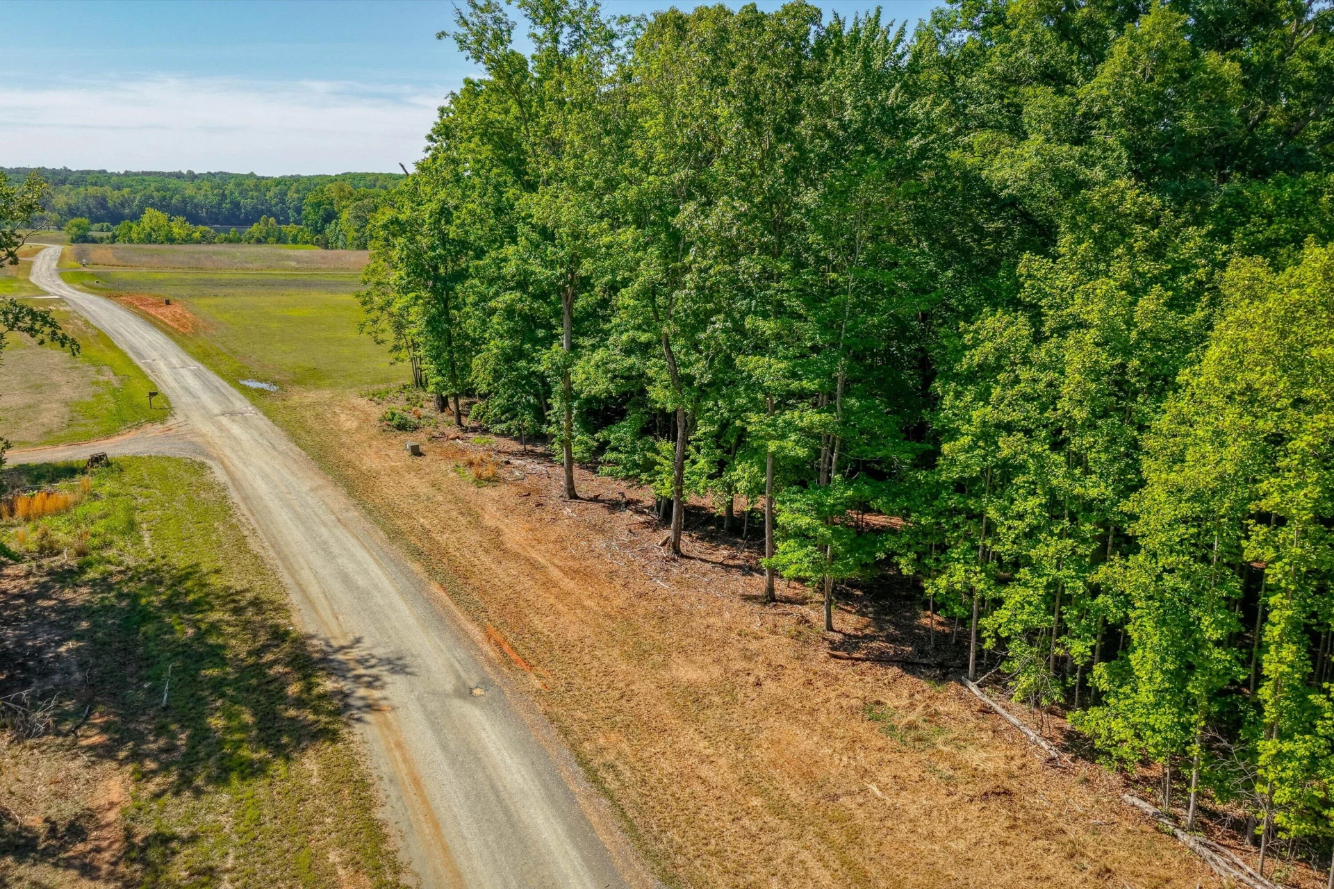 Lot 29 Hidden Treasures LN - Photo 12