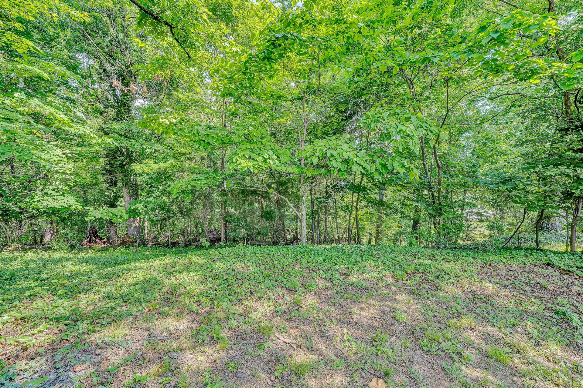 5225 Morwanda ST NW - Photo 30