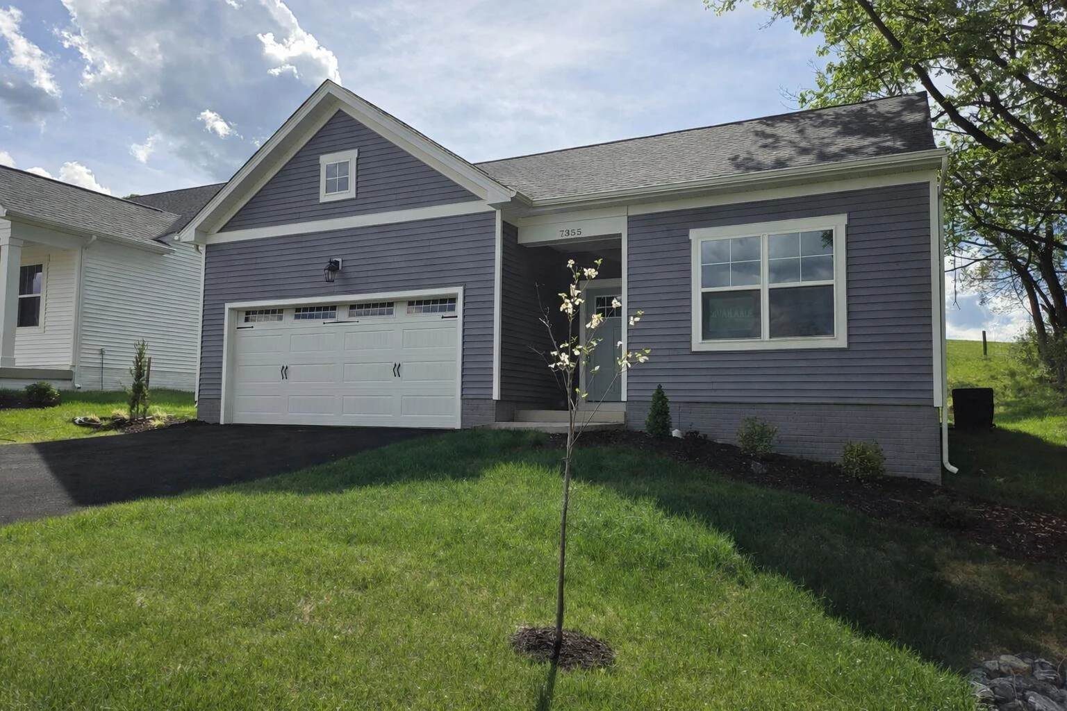 7355 King's Pointe DR