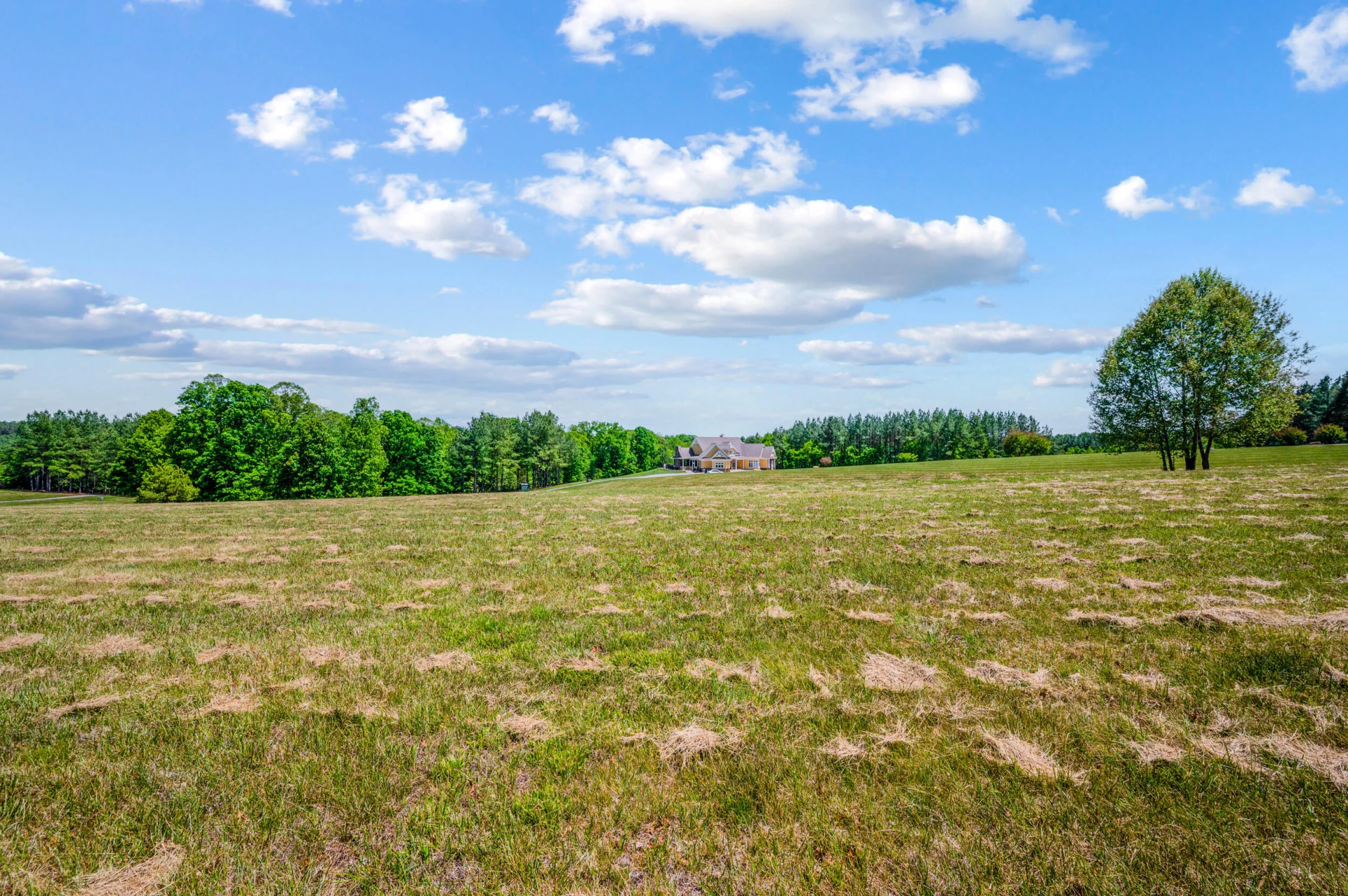 1038 Lees Mill LN - Photo 124