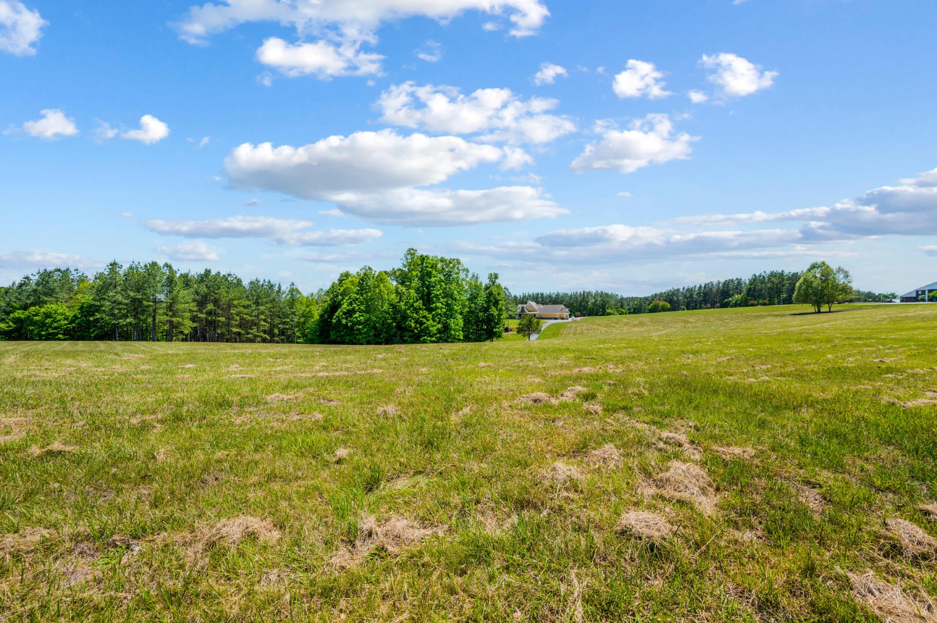 1038 Lees Mill LN - Photo 125