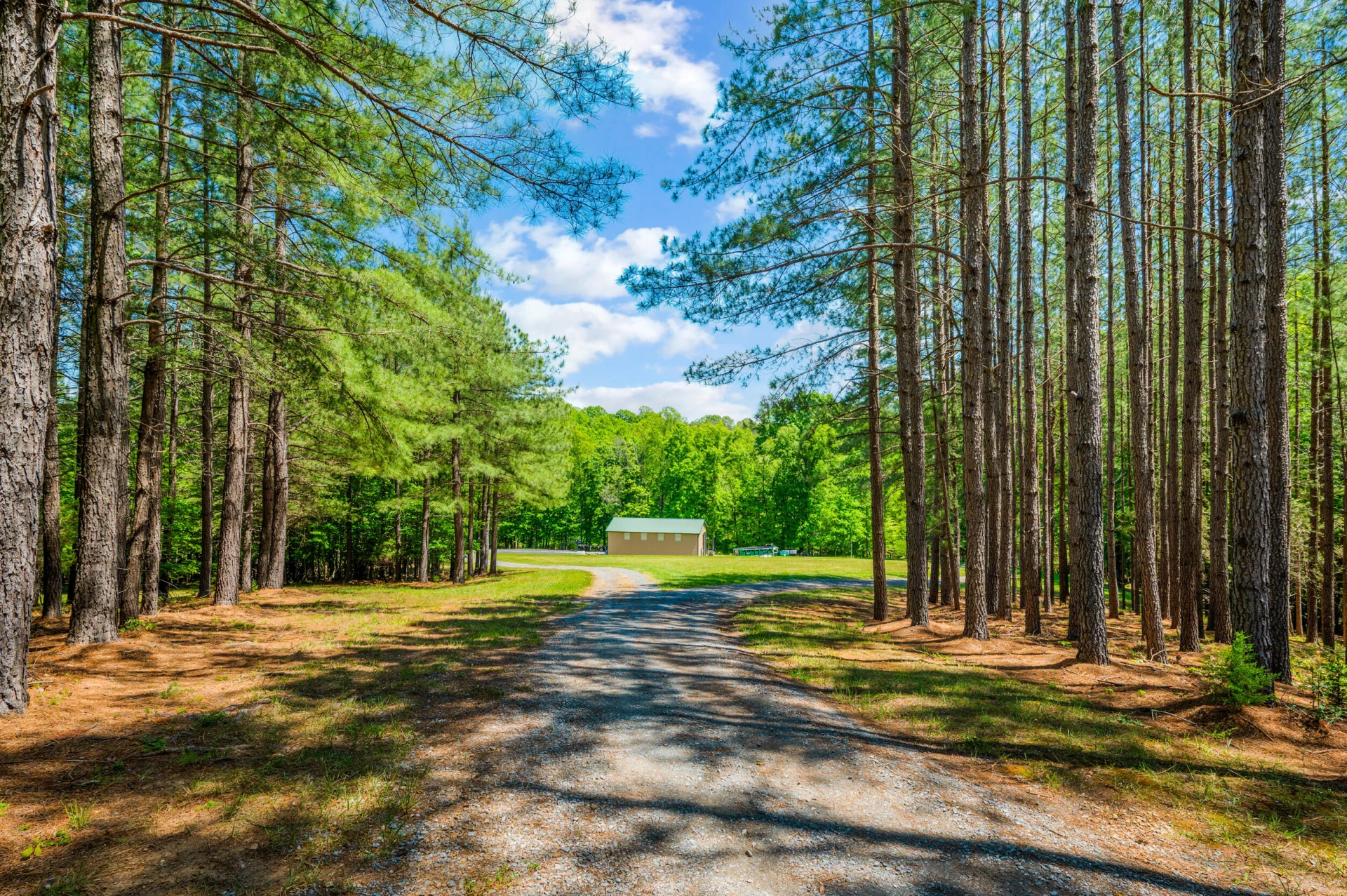 1038 Lees Mill LN - Photo 126