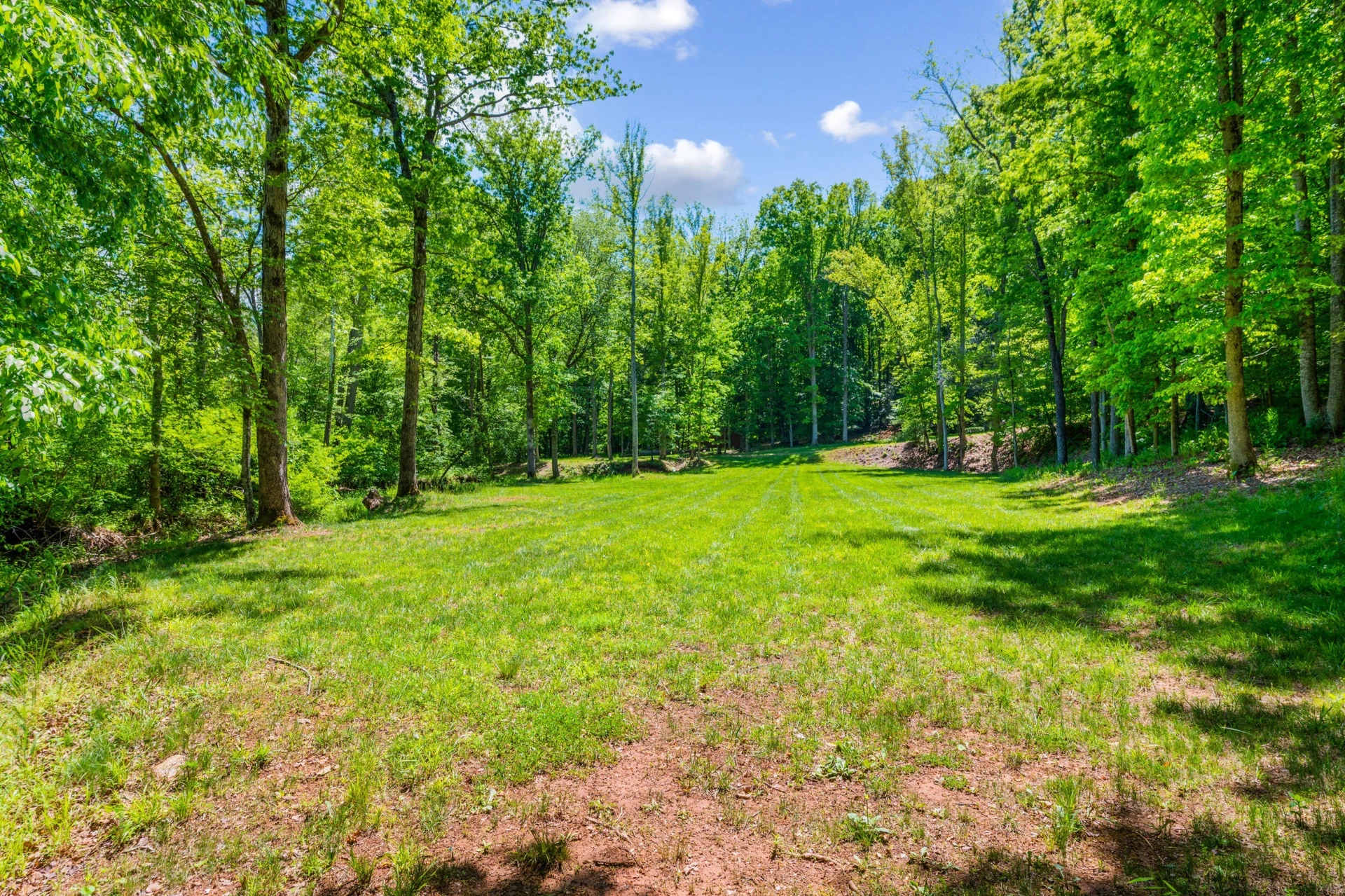 1038 Lees Mill LN - Photo 134