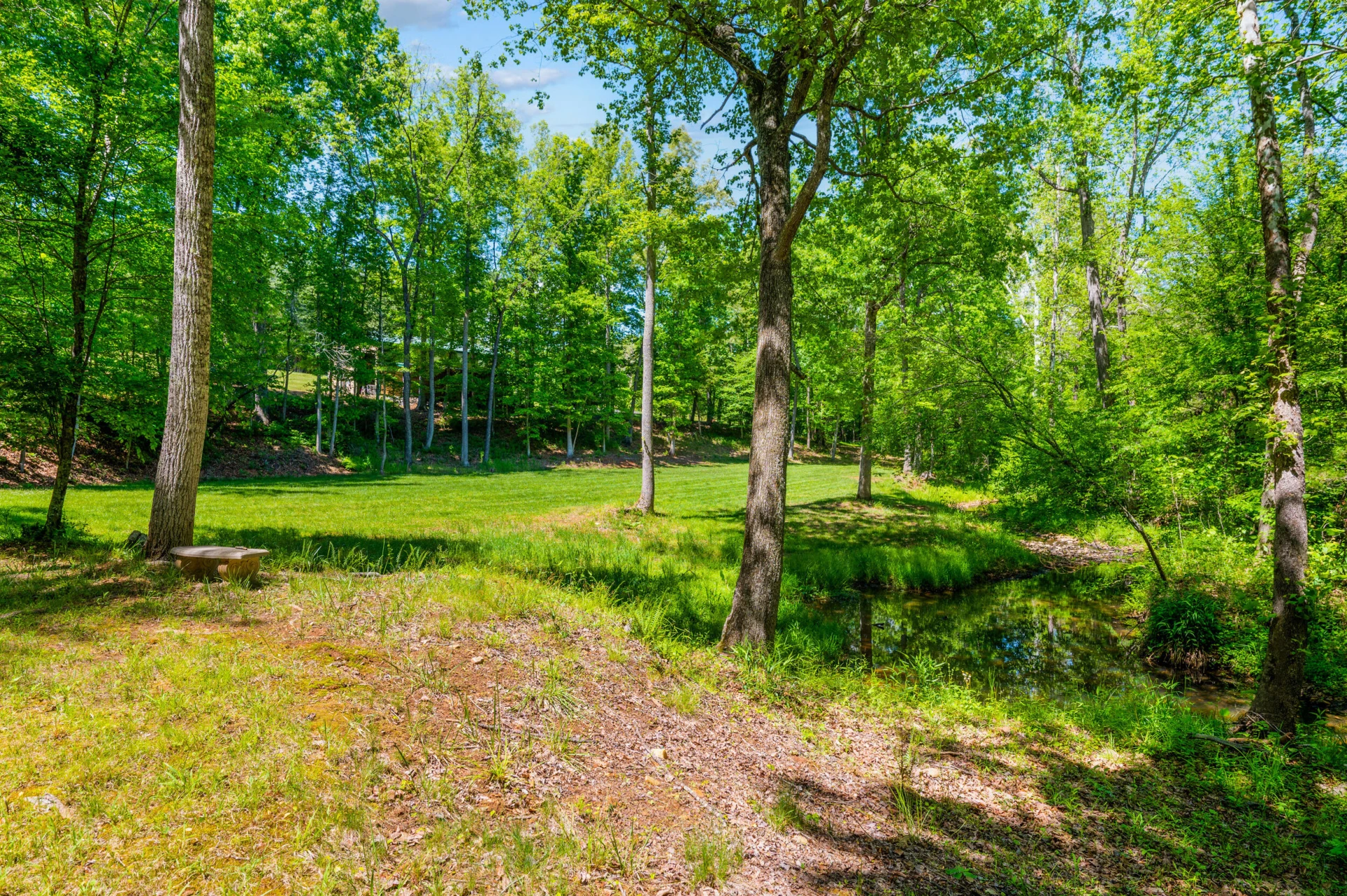 1038 Lees Mill LN - Photo 135