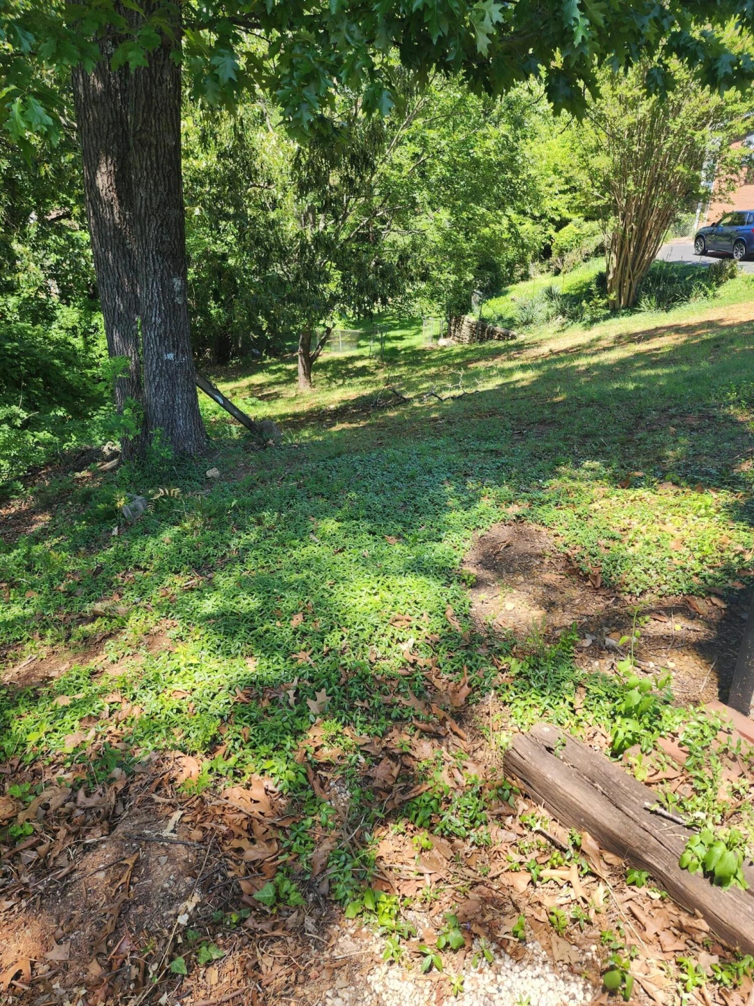 63 Dogwood LN - Photo 36