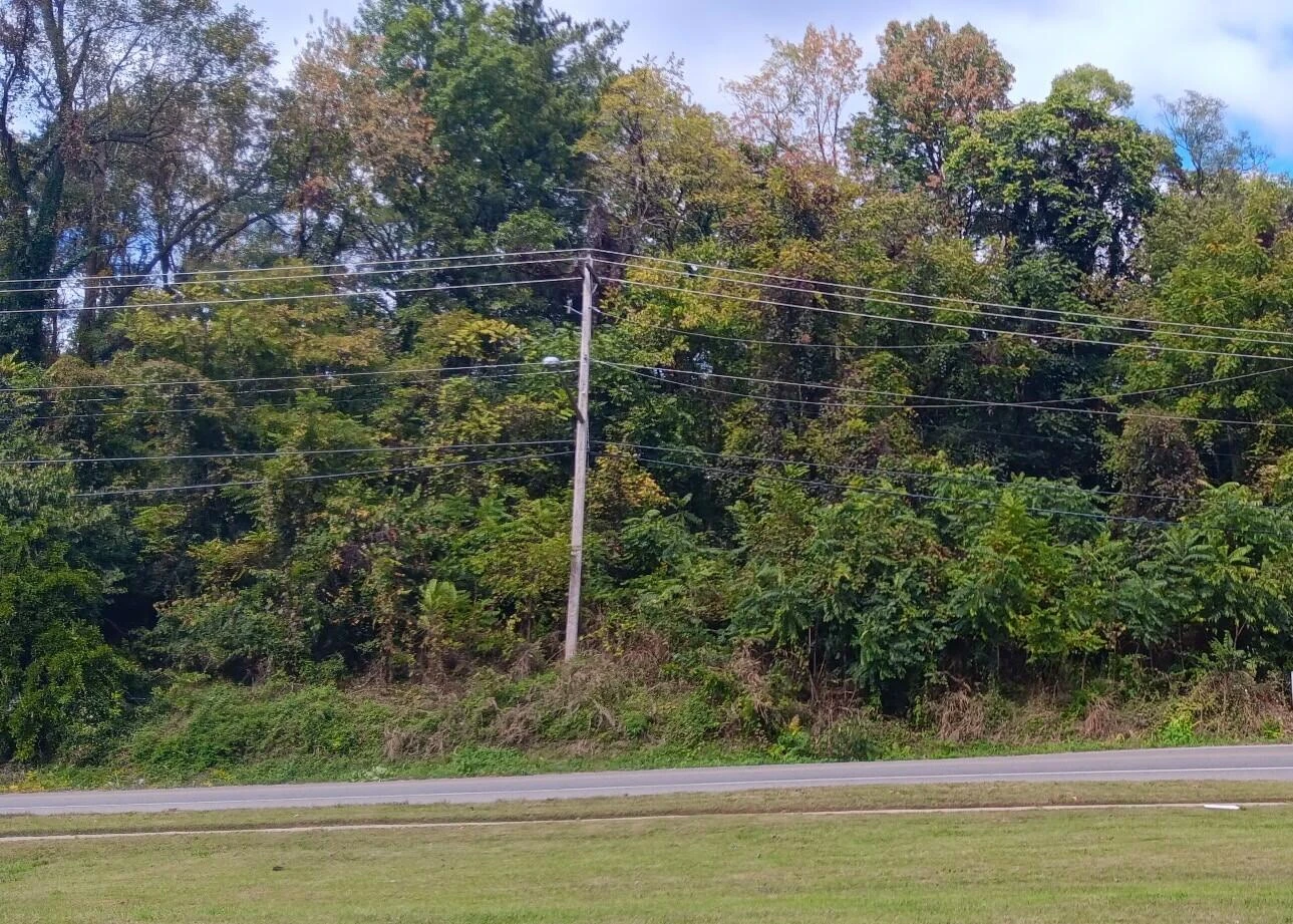 0 Brandon AVE SW - Photo 2