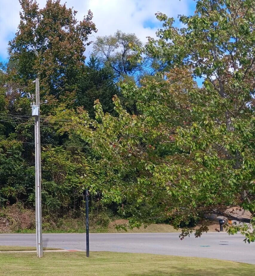 0 Brandon AVE SW - Photo 3