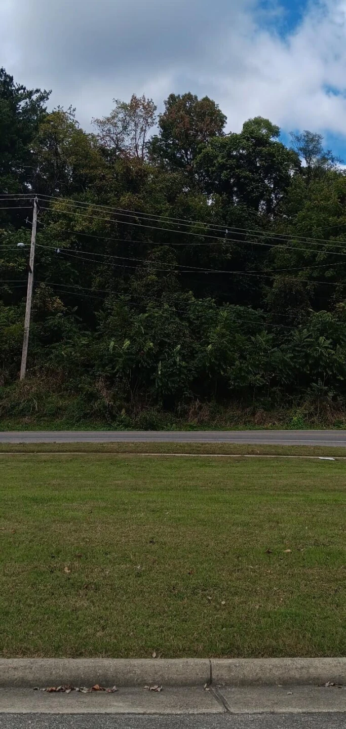 0 Brandon AVE SW - Photo 4
