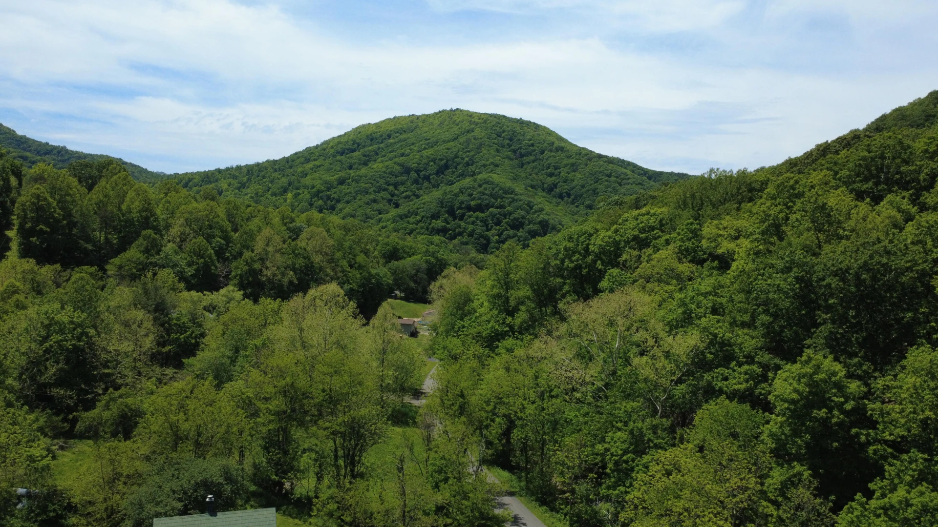 803 White Rock Gap RD - Photo 8