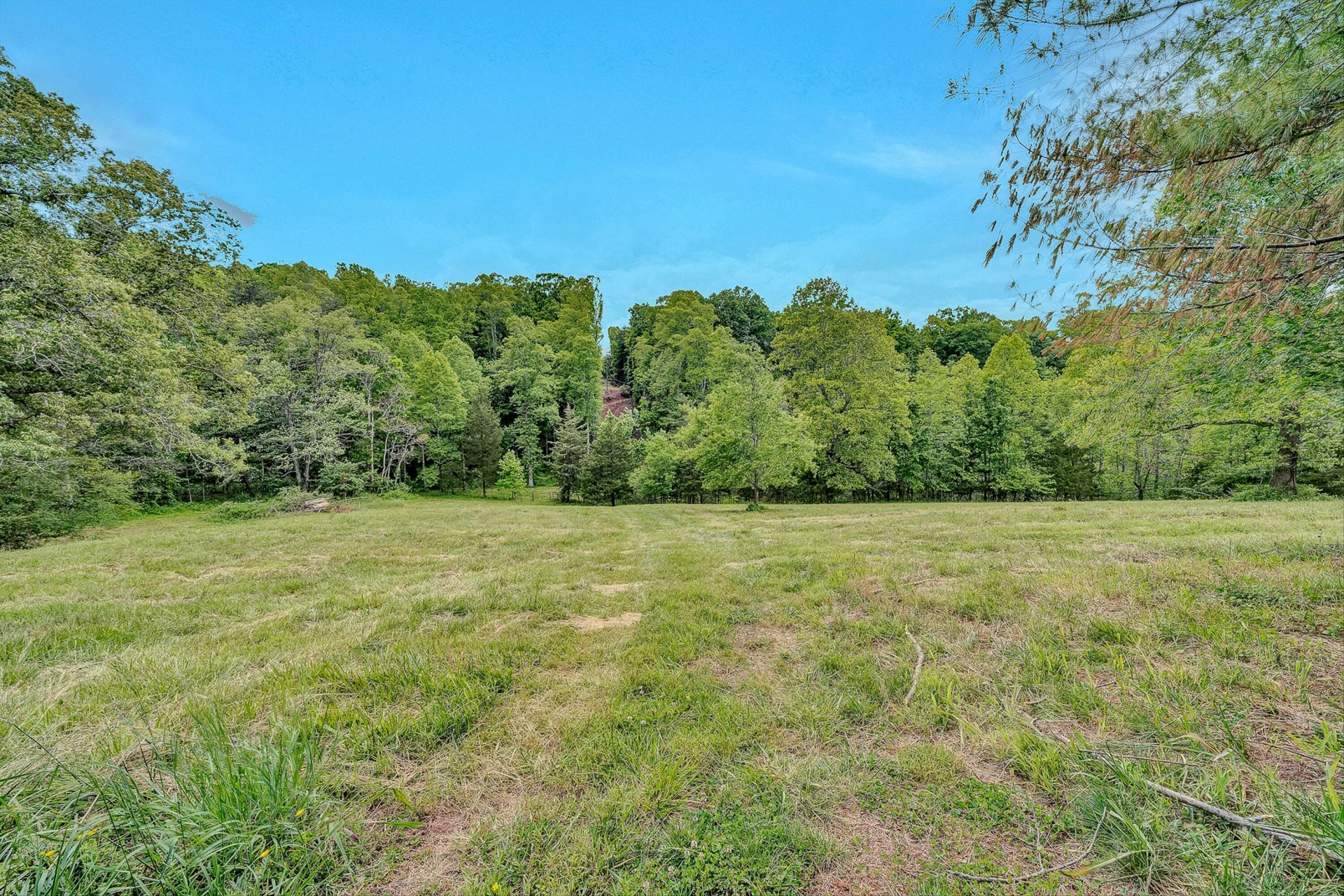 3835 Hardy RD - Photo 34