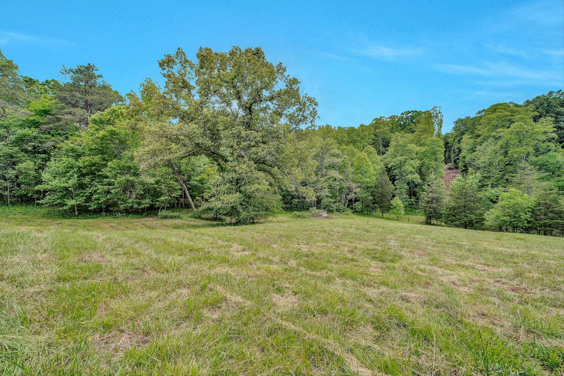 3835 Hardy RD - Photo 35