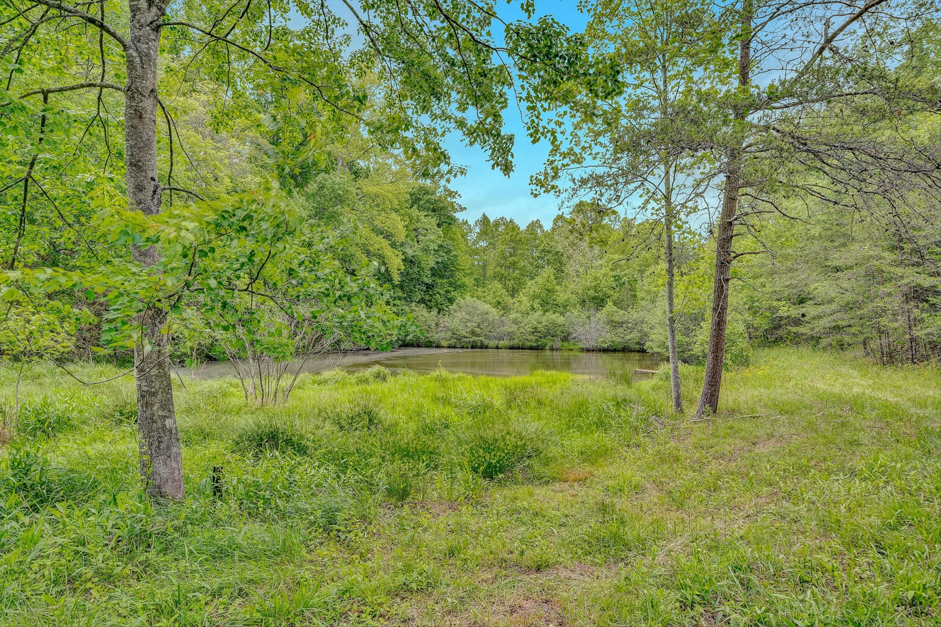 3835 Hardy RD - Photo 39