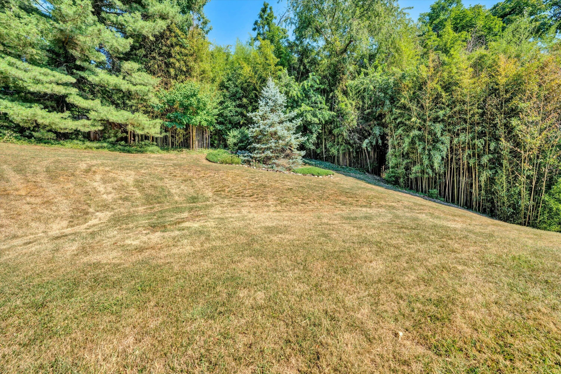 4911 Cave Spring CIR - Photo 31