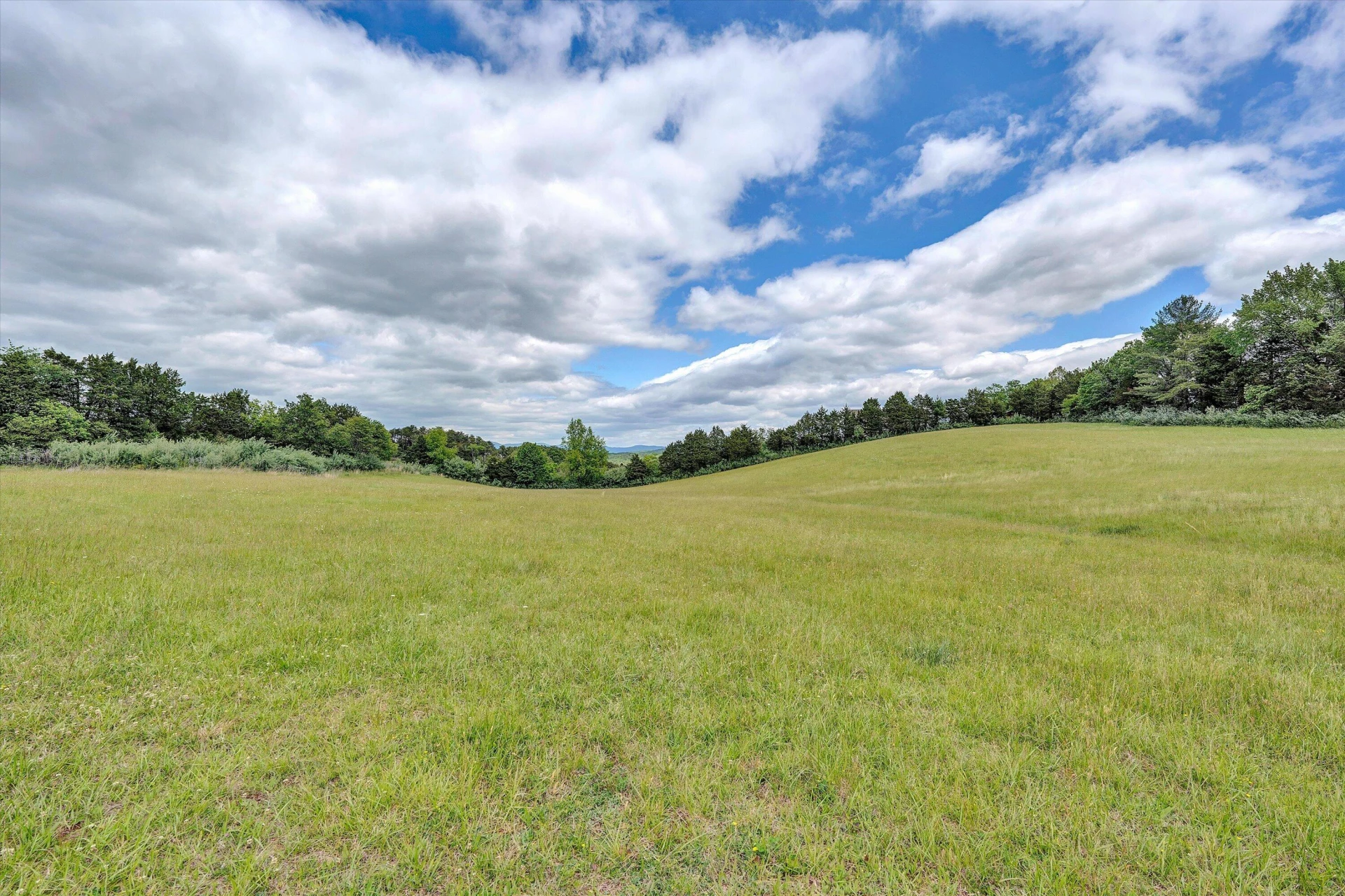 341 Springwood RD - Photo 55