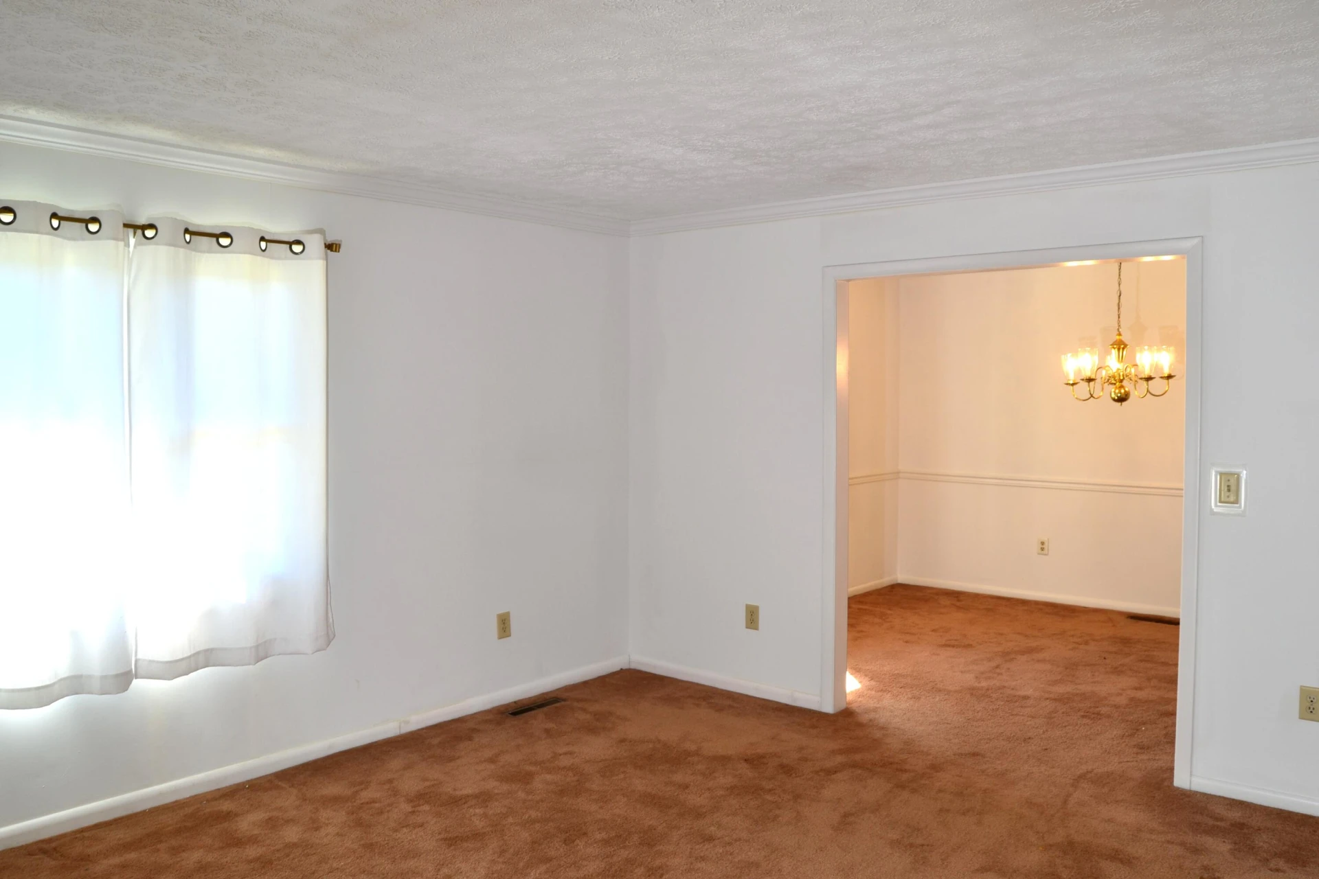5012 Buffalo CIR - Photo 12