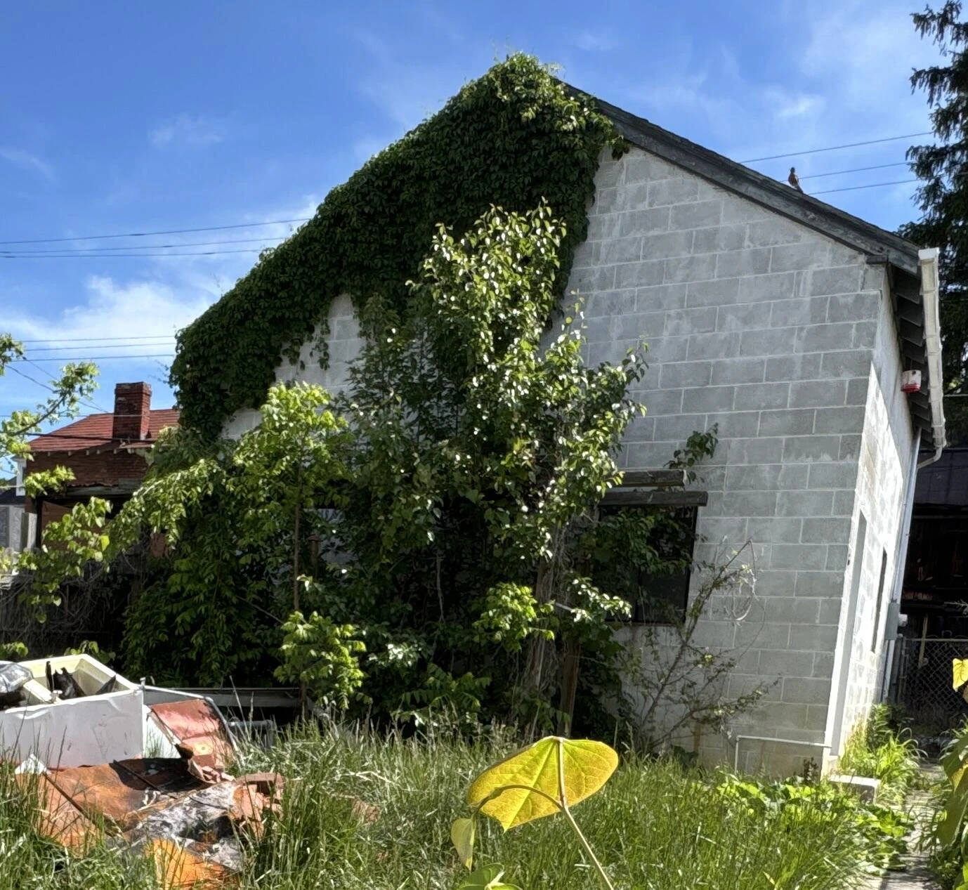 726 Rose AVE - Photo 4