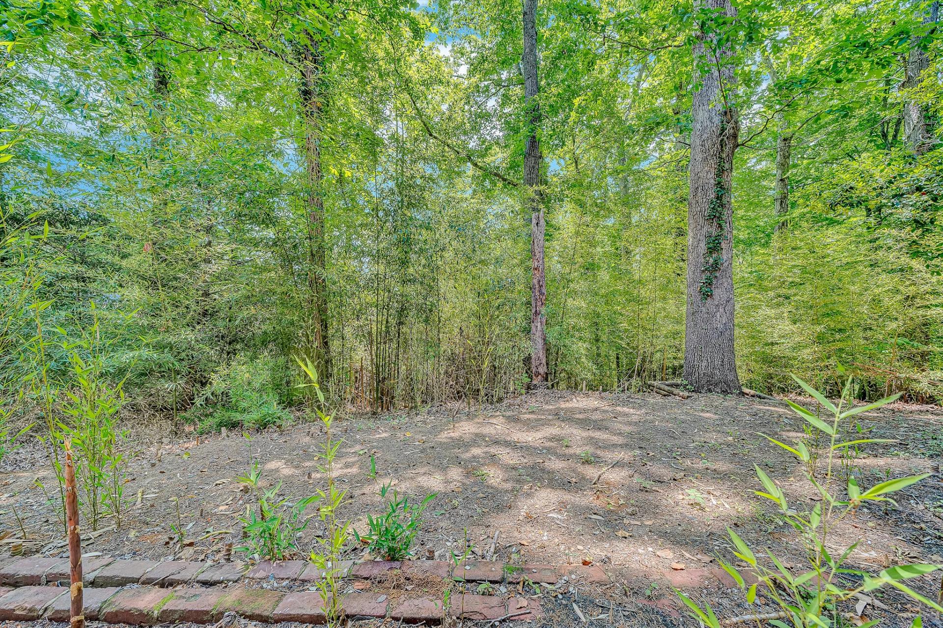 83 Maid Marian CT - Photo 23