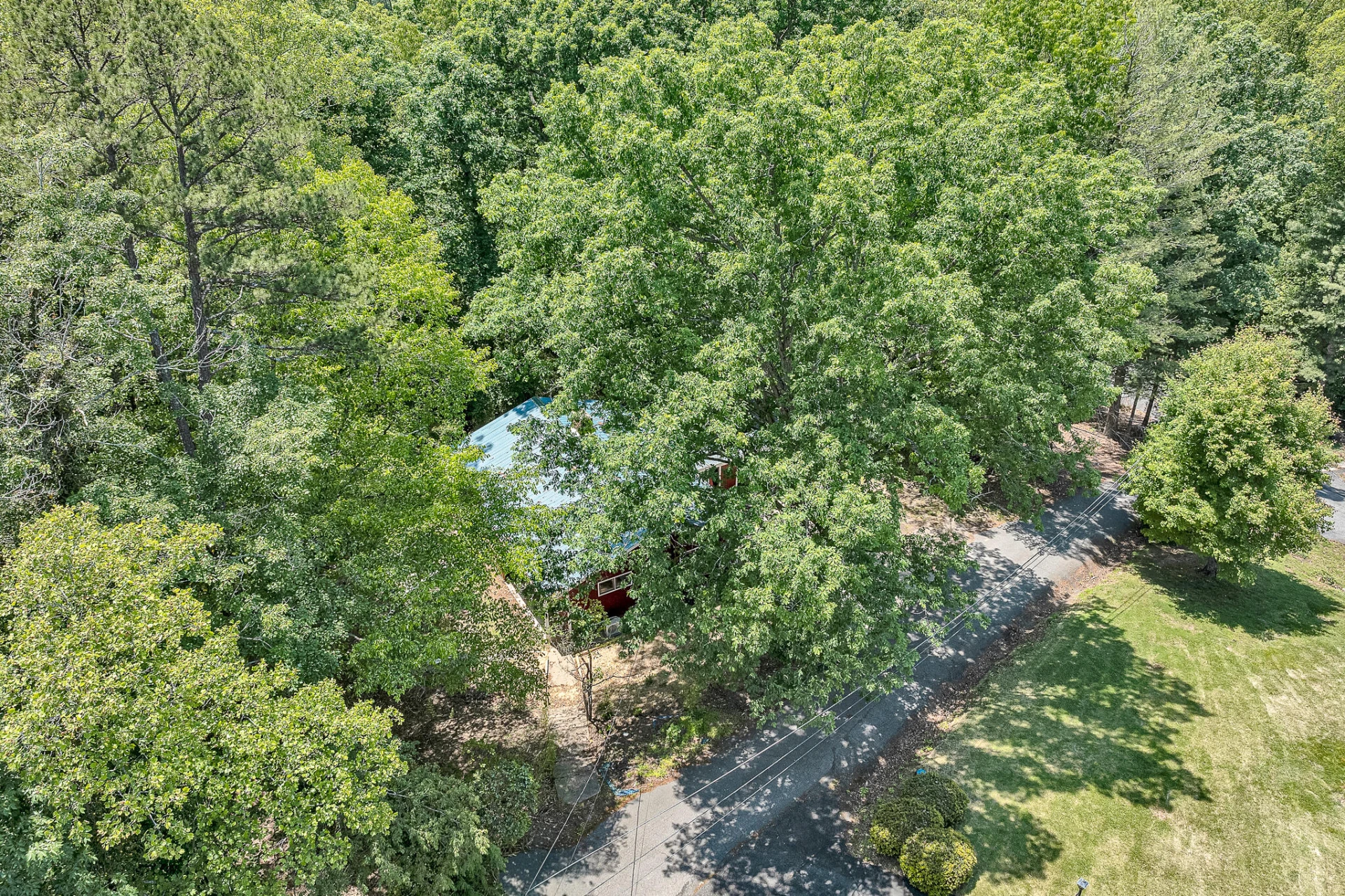 83 Maid Marian CT - Photo 50
