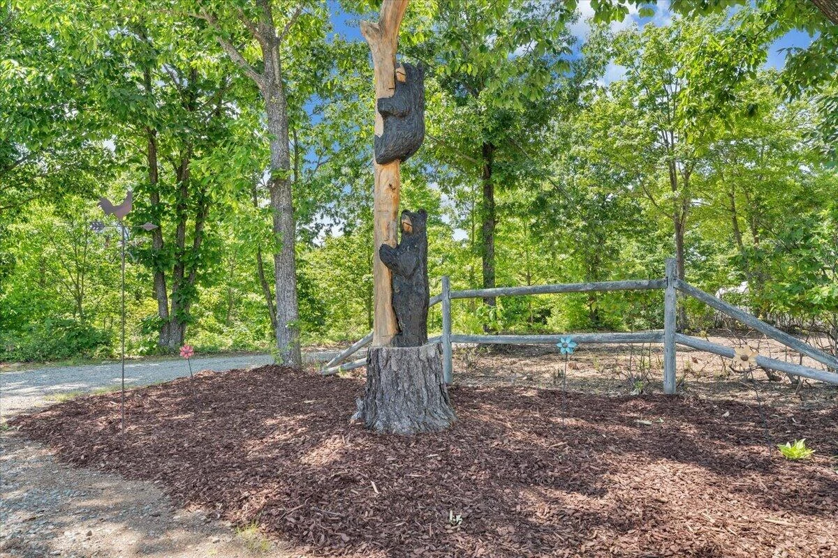1615 Turkeycock LN - Photo 117