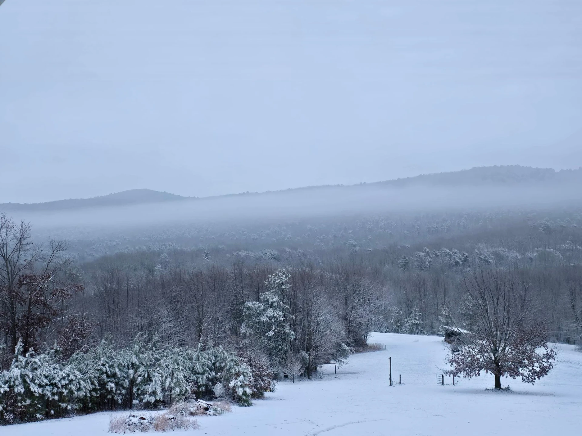 1615 Turkeycock LN - Photo 62
