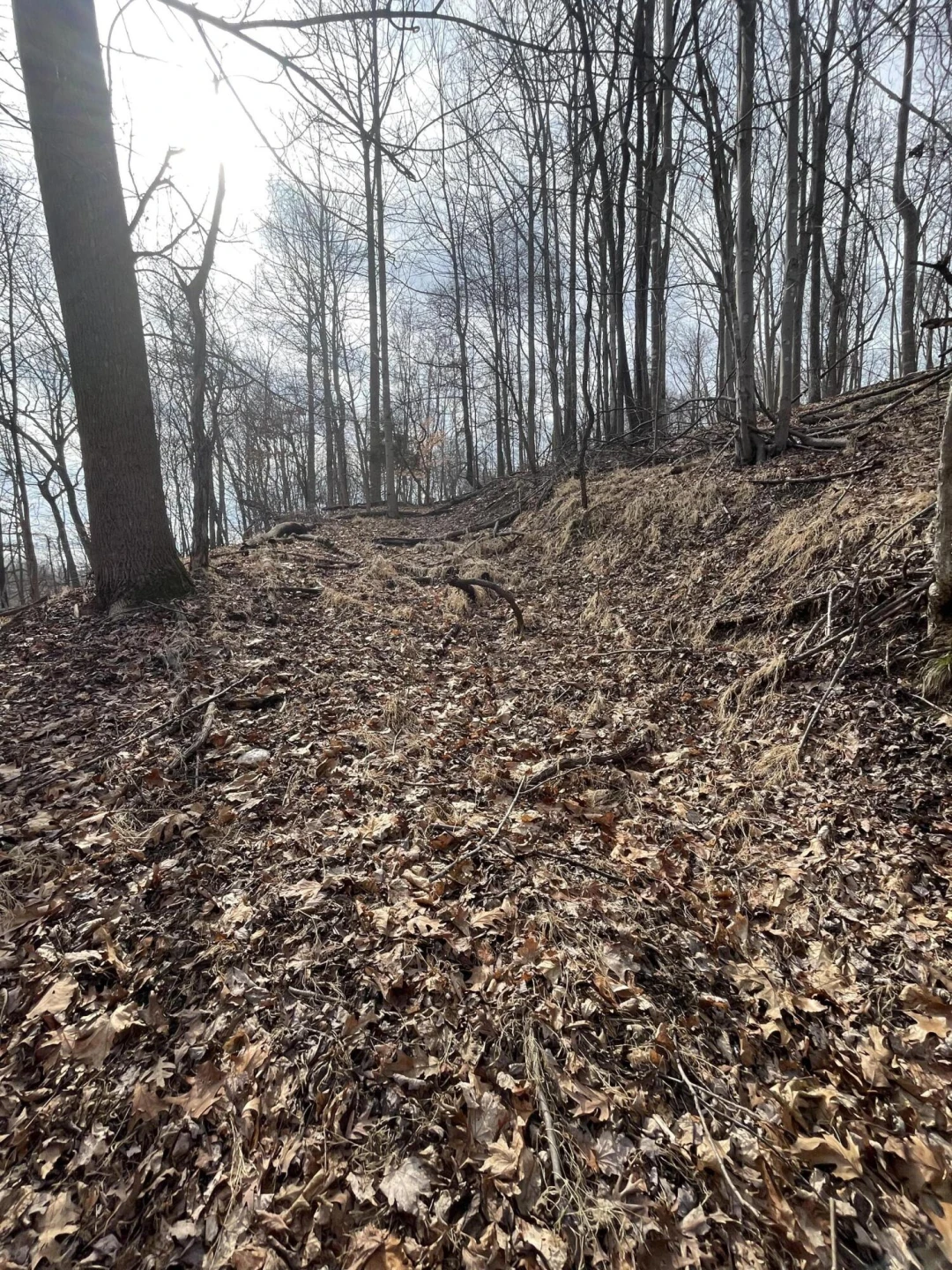 00 Nemmo RD - Photo 2