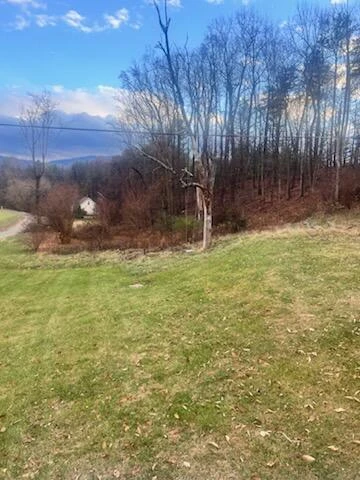 7030 Mount Chestnut RD - Photo 14