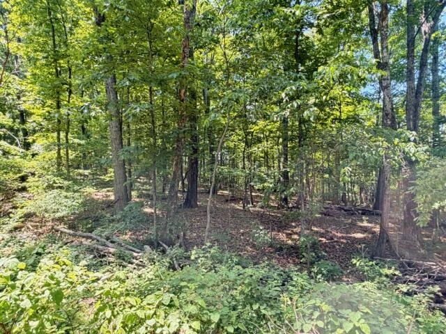 0 Country Club RD - Photo 11