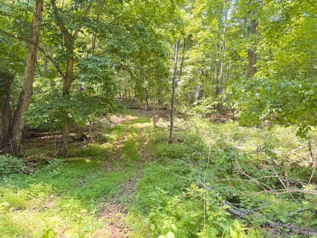 0 Country Club RD - Photo 12
