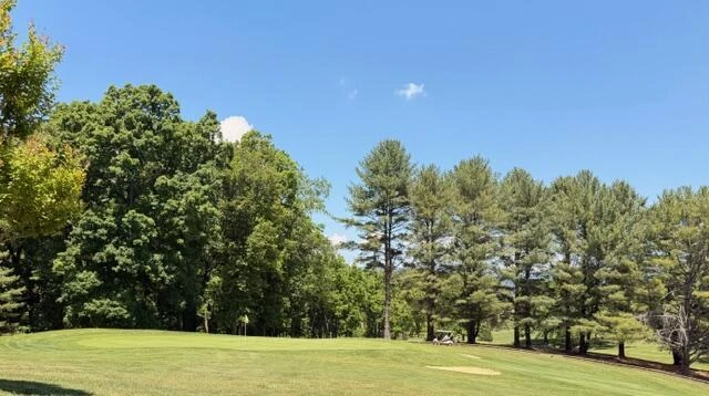 0 Country Club RD - Photo 16