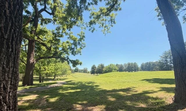 0 Country Club RD - Photo 17