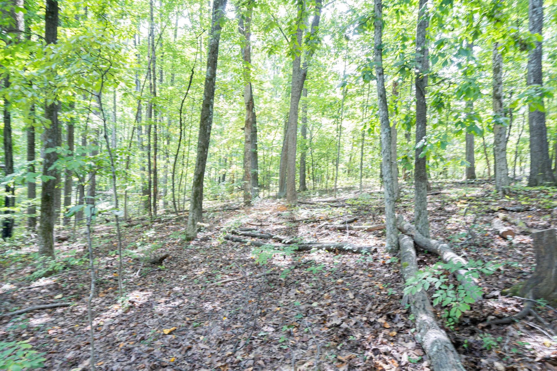 0 Country Club RD - Photo 2
