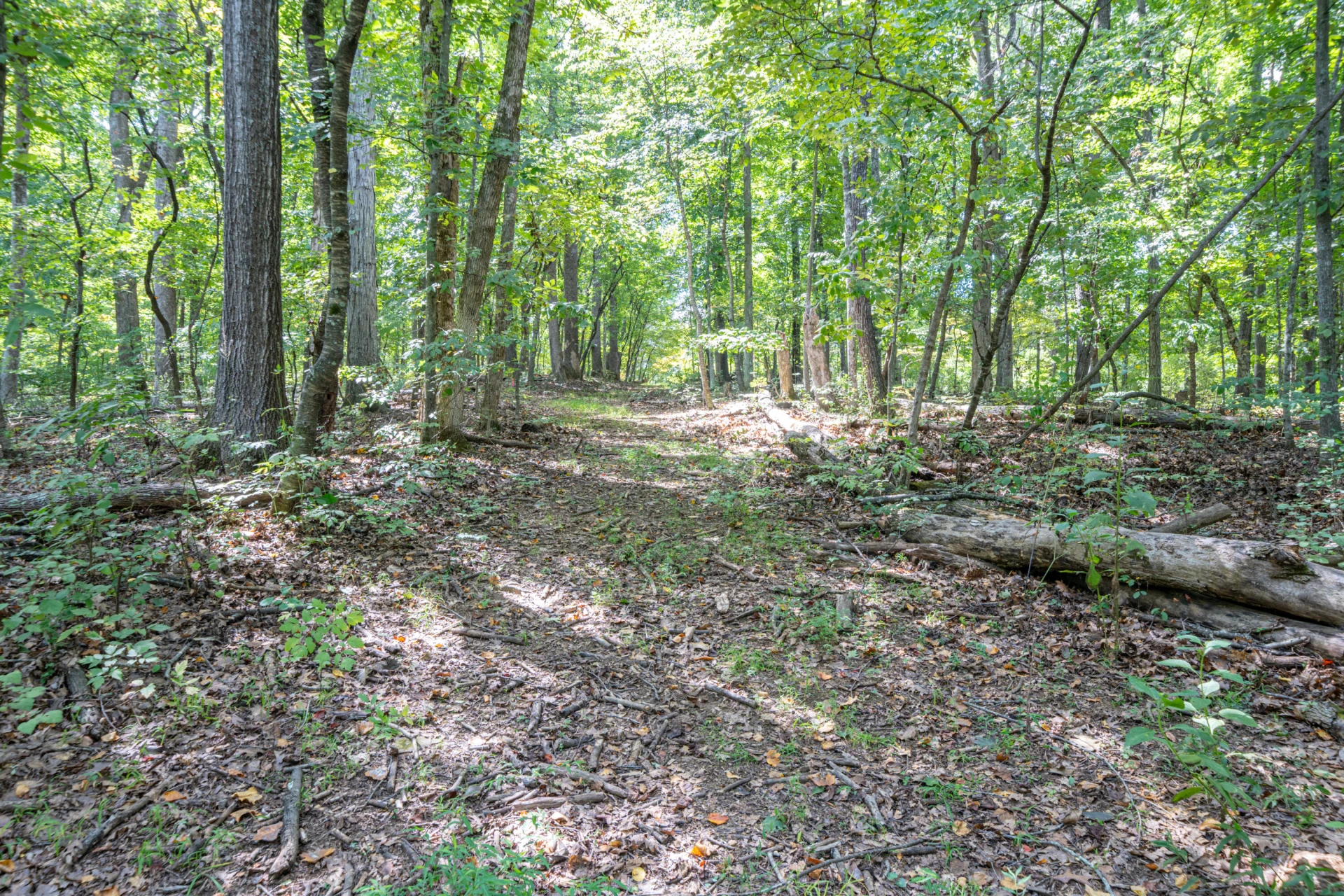 0 Country Club RD - Photo 3