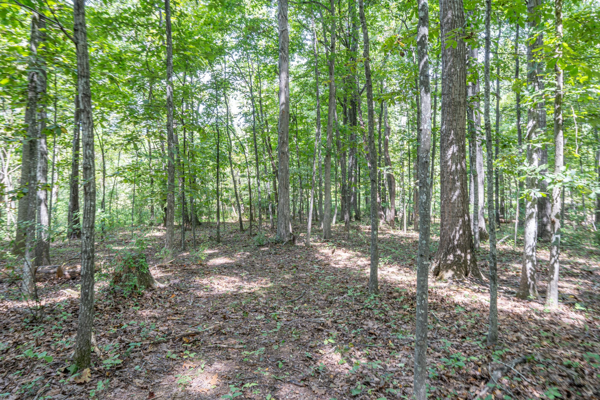 0 Country Club RD - Photo 7