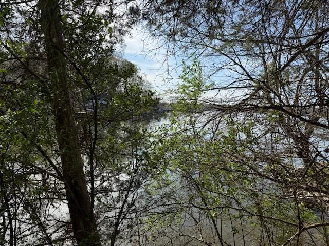 Lot 42 Oak Hollow RD - Photo 21