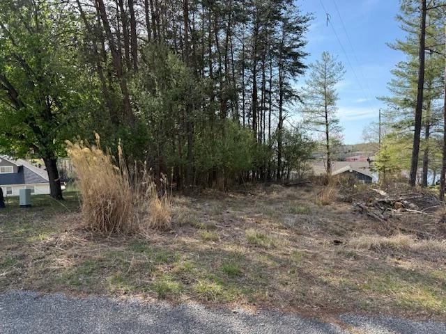 Lot 42 Oak Hollow RD - Photo 22