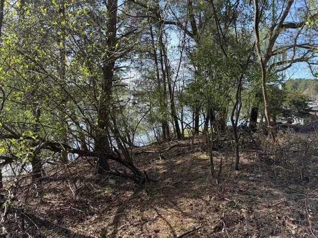 Lot 42 Oak Hollow RD - Photo 23
