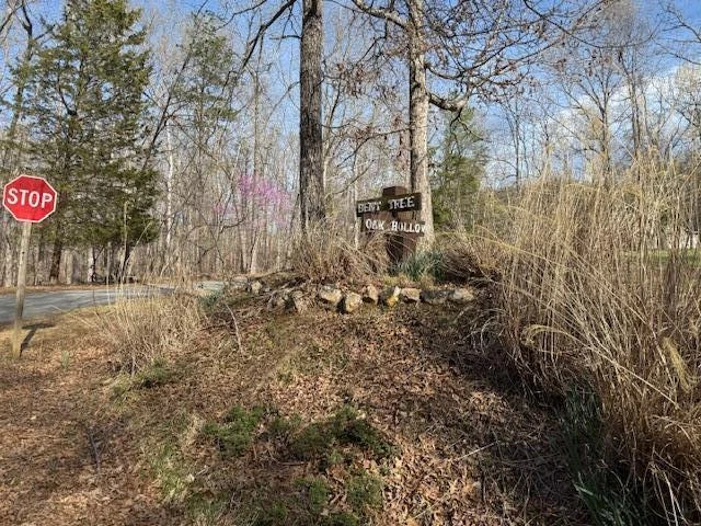 Lot 42 Oak Hollow RD - Photo 24