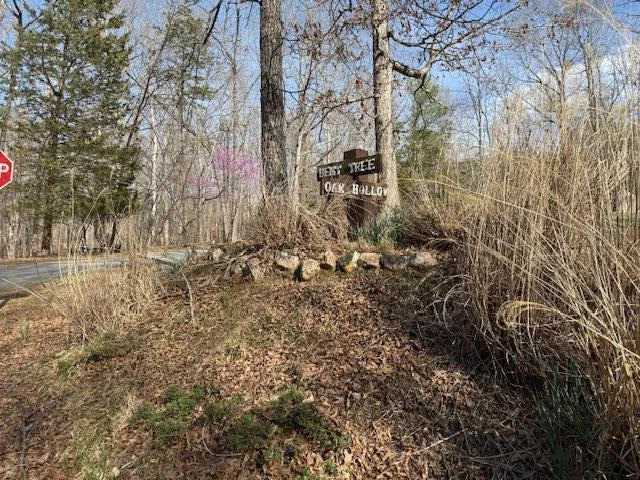 Lot 42 Oak Hollow RD - Photo 25