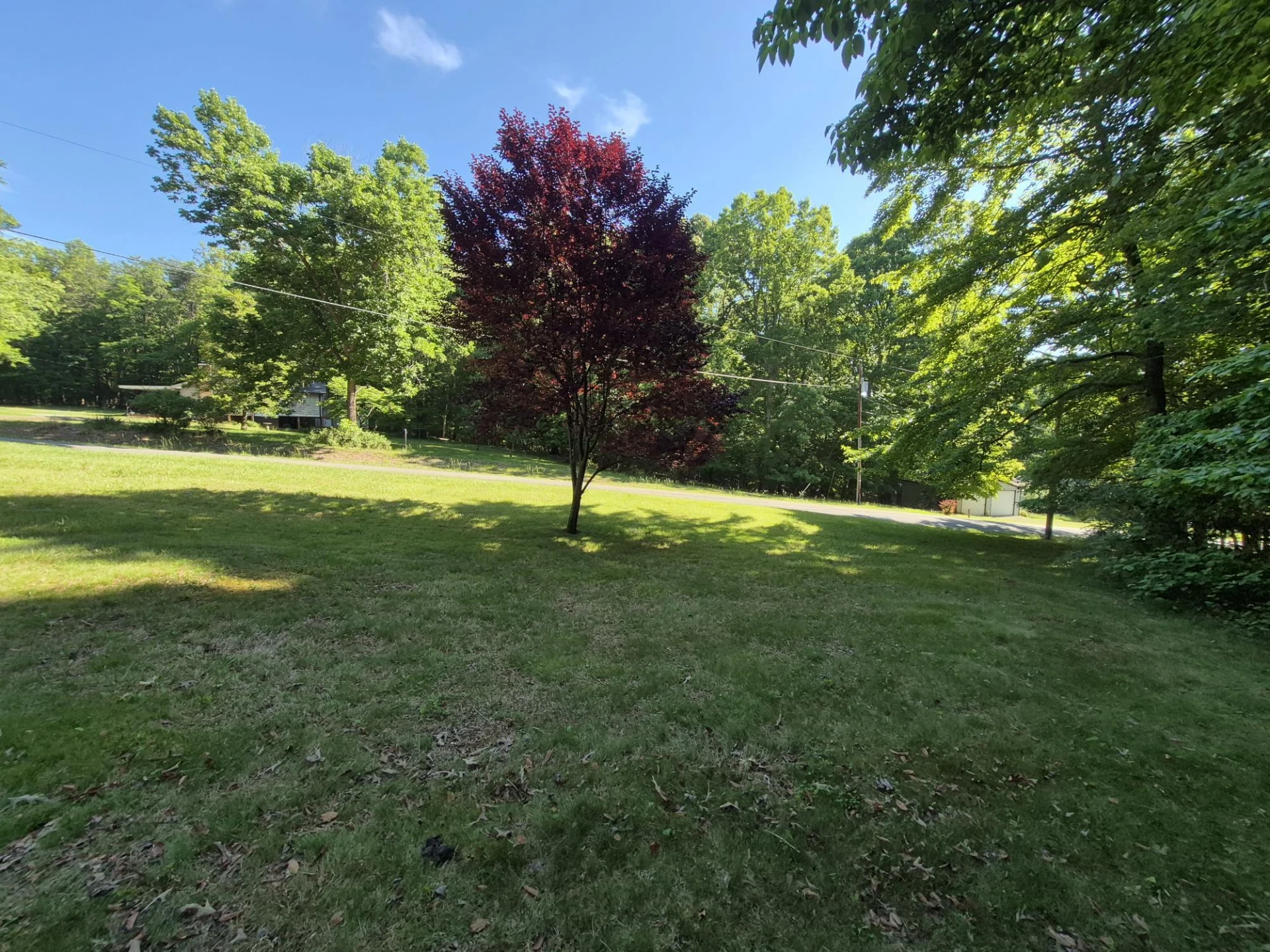 300 Snug Harbor TRL - Photo 6