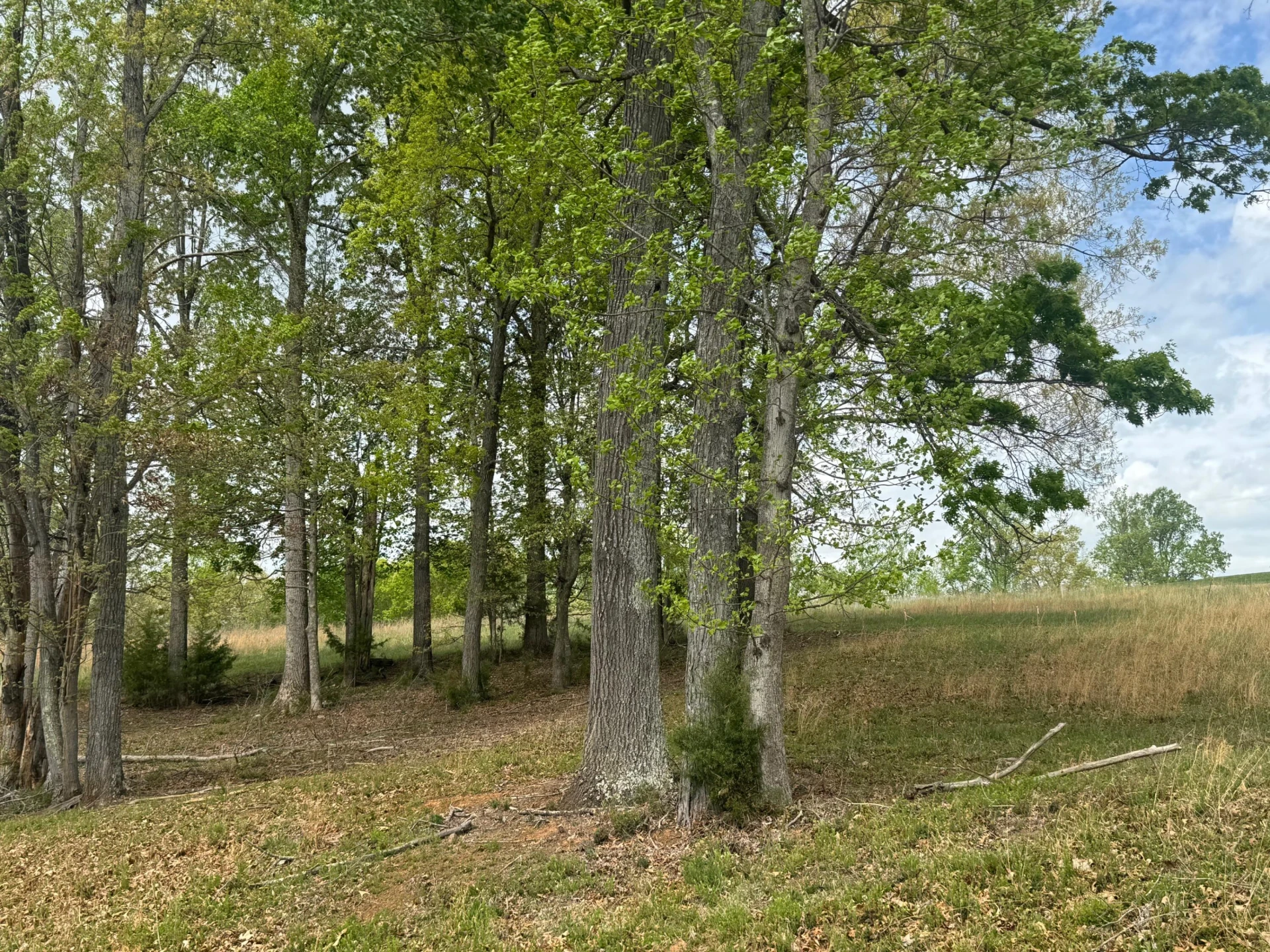 Lot 28 Farm DR