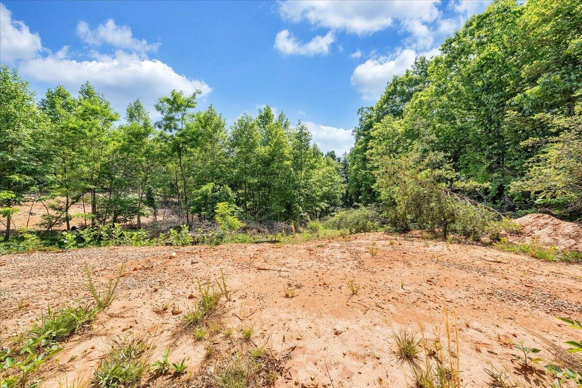 6427 Fork Mountain RD - Photo 19