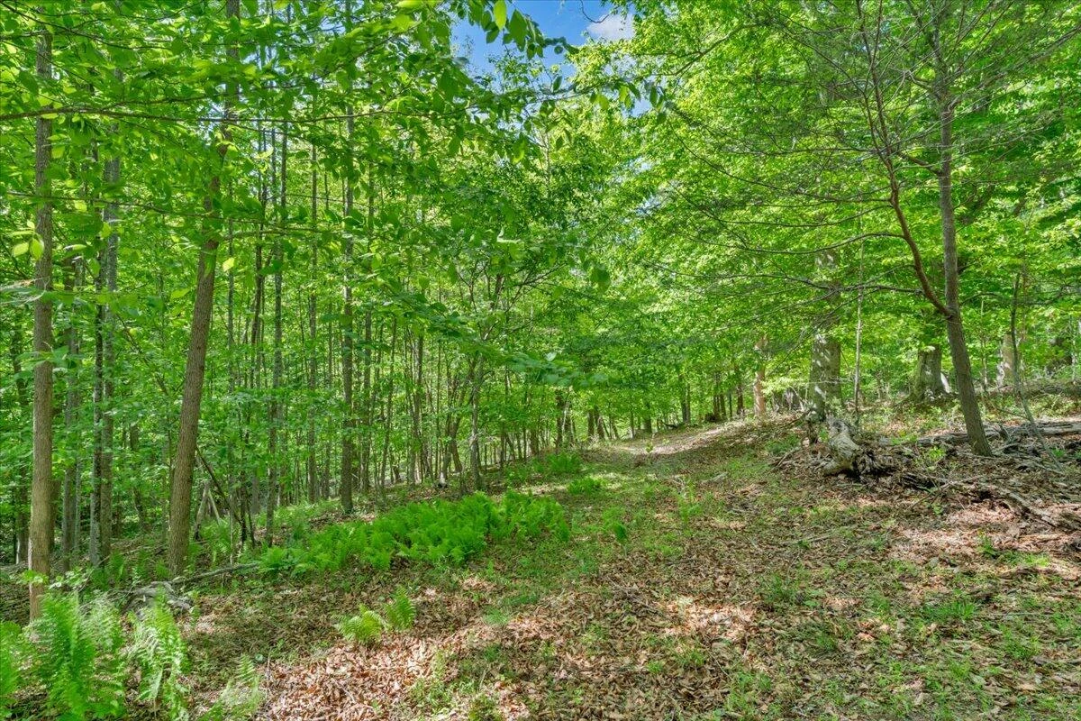 0 Somerset Cove RD - Photo 31